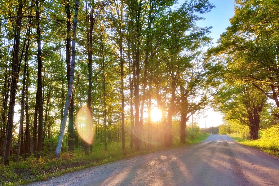 Newark VT Century 21 Farm and Fоrest